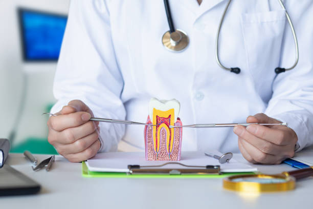 Best Chipped Tooth Repair Near Me  in Swedeland, PA